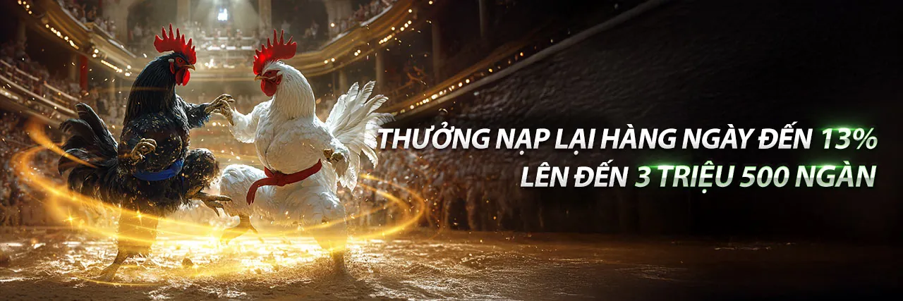 Cam kết dịch vụ khách hàng 77bet login