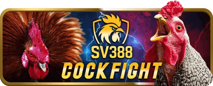 Chương trình VIP 77bet